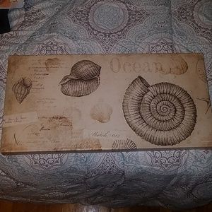 Ocean shell canvas